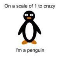 Private_Penguin